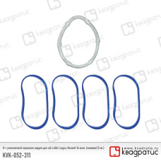 .Кольца уплотнительные канала ресивера Lada Largus, Renault 16клап.(силикон 5шт) -8200052311 Квадр