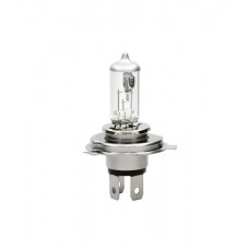 Лампа MTF H19 12v 55w (Standard+30%) LL